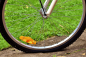 Preview: REP06-BIKE