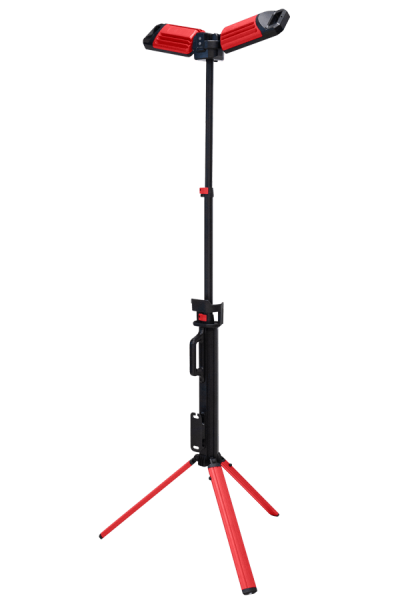 MLA07